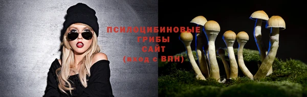 скорость Володарск